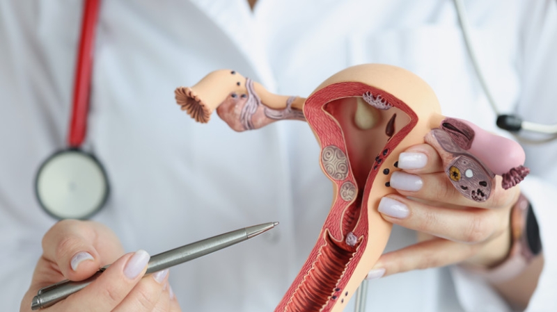 Cochrane Library: прививки от ВПЧ эффективны в предотвращении рака шейки матки